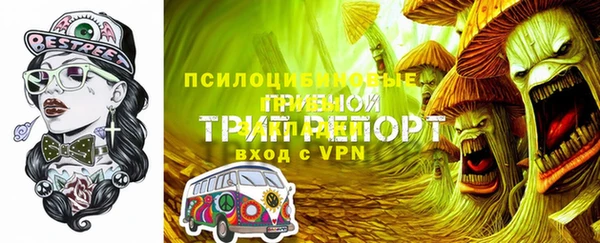 стафф Арсеньев