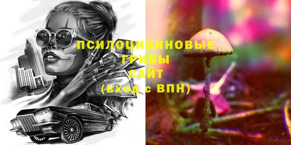 стафф Арсеньев
