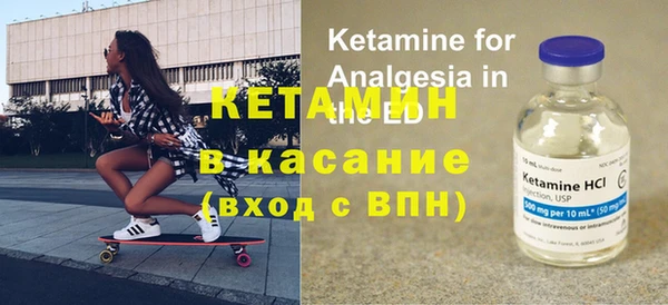 стафф Арсеньев