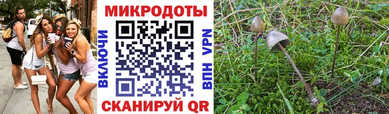 Галлюциногенные грибы мухоморы  omg tor  Усолье-Сибирское 